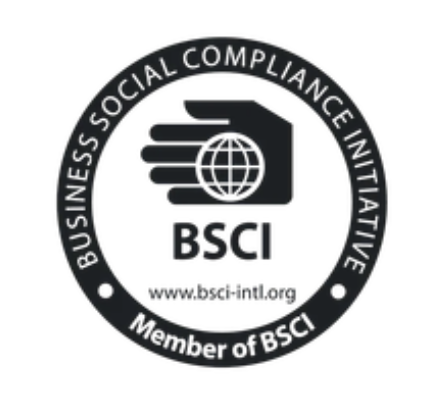 BSCI logo